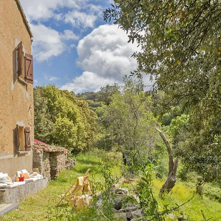 Holiday home Casa Di Babbo Olmi-Cappella