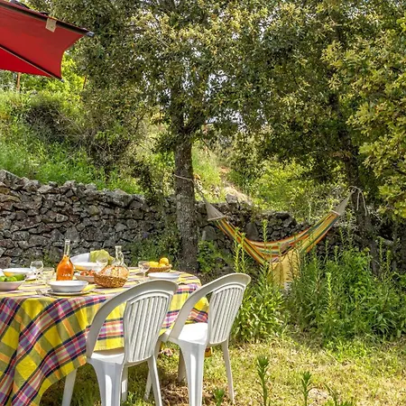 Holiday home Casa Di Babbo Olmi-Cappella